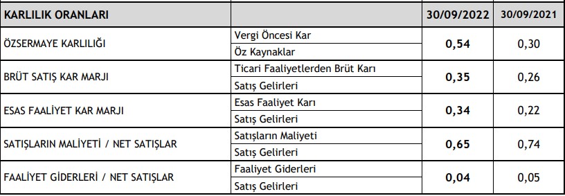 Çemtaş'ın ara dönem performansı