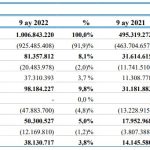 Despec Bilgisayar'ın 9 aylık rakamları