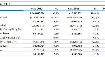 Despec Bilgisayar’ın 9 aylık rakamları