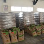 Dinar’da çiftçilere 78 ton buğday tohumu dağıtıldı