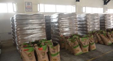 Dinar’da çiftçilere 78 ton buğday tohumu dağıtıldı