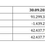 Ekiz Kimya'nın faaliyet raporu açıklandı