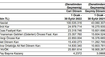 Erdemir’in faaliyet raporu
