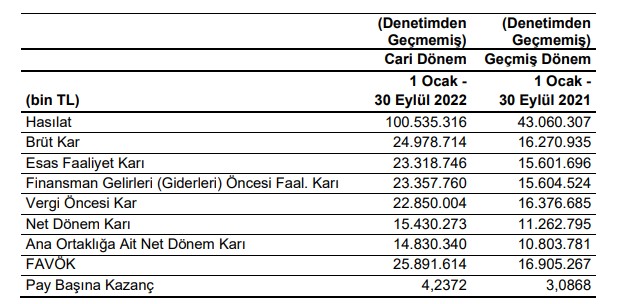 Erdemir'in faaliyet raporu
