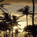 Fiji Gezilecek Yerler