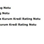 İndeks Bilgisayar'ın kredi derecelendirmesi