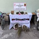 Ormanlık alanda uyuşturucu operasyonu