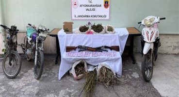 Ormanlık alanda uyuşturucu operasyonu