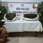 Rize'de uyuşturucu operasyonu 