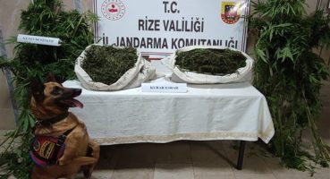 Rize’de uyuşturucu operasyonu
