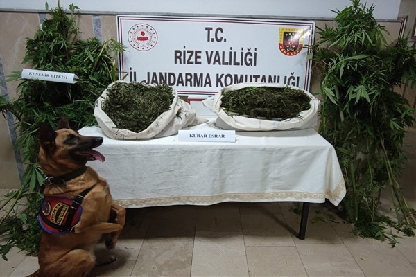 Rize'de uyuşturucu operasyonu