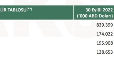 Aksa Akrilik’in faaliyet raporu