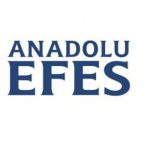 Anadolu Efes'ten 3. çeyrekte 29