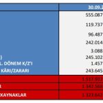 Çemaş'ın 9 aylık rakamları