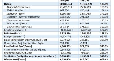 Doğan Şirketler Grubu’nun ara dönem rakamları