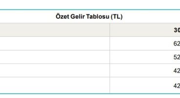 Esenboğa Elektrik’in 3. çeyrek faaliyet raporu