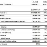 Girişim Elektrik'ten 320.225