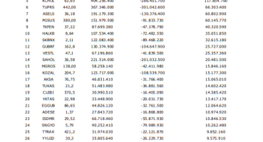 Günlük para girişi olan hisseler