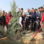 Hatay'da fidan dikimi töreni gerçekleştirildi