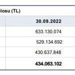 Naturel Enerji'nin ara dönem faaliyet raporu