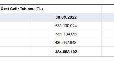 Naturel Enerji’nin ara dönem faaliyet raporu