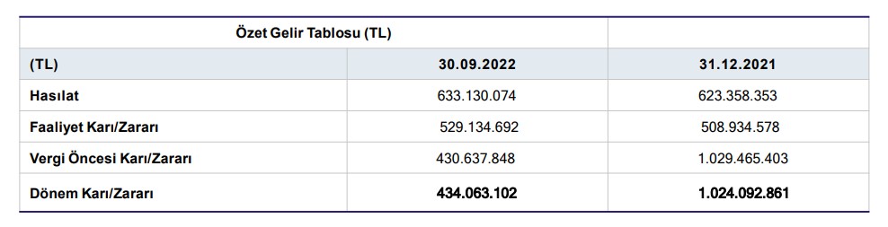 Naturel Enerji'nin ara dönem faaliyet raporu