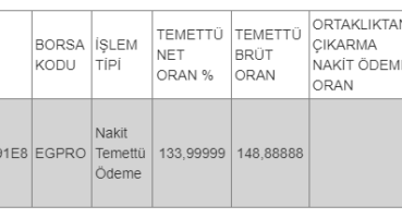 Pay mali hak kullanım işlemi