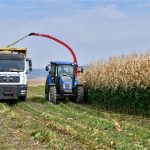 Tarım Kampüsü’nde yetiştirilen silajlık mısır hasadı yapıldı