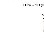 THY'nin faaliyet raporu