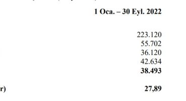 THY’nin faaliyet raporu