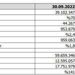 Vestel'in 9 aylık performansı