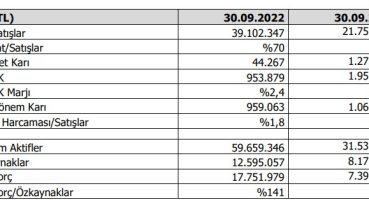 Vestel’in 9 aylık performansı