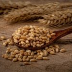 Xi'den Hibrit Pirinç Yardımı ve Küresel Gıda Güvenliği Forumu'na mesaj