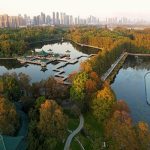 Xi'den sulak alanların korunmasına dair işbirliğini ilerletme çağrısı