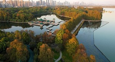 Xi’den sulak alanların korunmasına dair işbirliğini ilerletme çağrısı