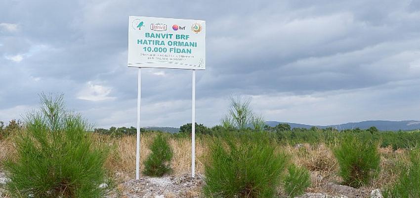 banvit-brf-ormani-40-bin-agaca-ulasti.jpg