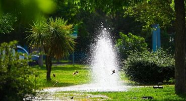 Bayraklı’nın yeşil oranı her yıl artıyor