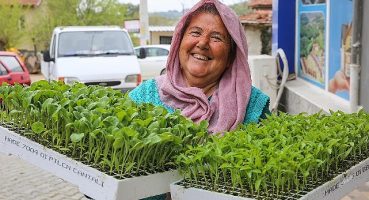 Buca'da Belediye-Kooperatif işbirliği, tarımı canlandırdı