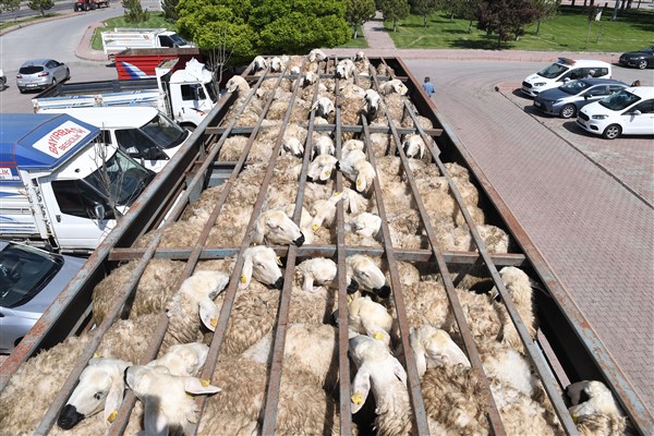 Kayseri’den tarım ve hayvancılığa 100 milyon TL’nin üzerinde yatırım