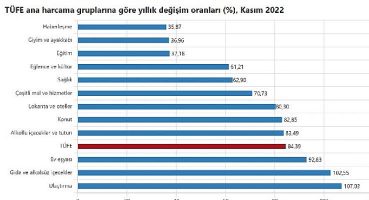TÜİK: Tüketici fiyat endeksi (TÜFE) yıllık yüzde 84,39, aylık yüzde 2,88 oldu