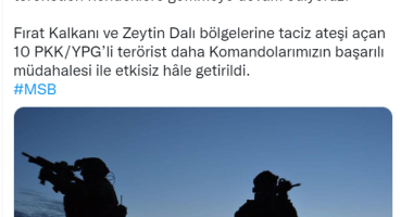 10 terörist etkisiz hale getirildi