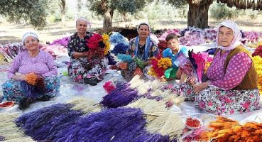 Bayındır-Turan Mahallesi Nergis ve Kuru Çiçek Festivali 2. Yılında