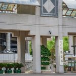 "Çin'in ekonomik ve sosyal canlılığı, dünyaya daha büyük fırsatlar getirecek"