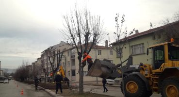 Eskişehir Belediyesi, ekipleri ağaçların kış bakımını sürdürüyor