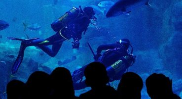 İstanbul Akvaryum'dan Sömestire Özel Etkinllkler