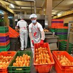 İzmir'de Halk Ekmek fiyatına zam yapıldı