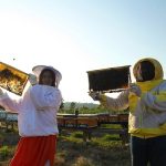 Sakarya Büyükşehir’in ‘Altın Karınca’ ödüllü projesi rekor kırdı