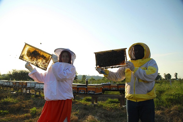 Sakarya Büyükşehir’in ‘Altın Karınca’ ödüllü projesi rekor kırdı