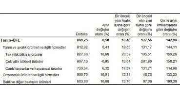 Tarım ürünleri üretici fiyat endeksi (Tarım-ÜFE) yıllık %127,56, aylık %6,58 arttı