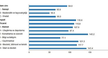 TÜİK: Ciro Endekslerini Açıkladı